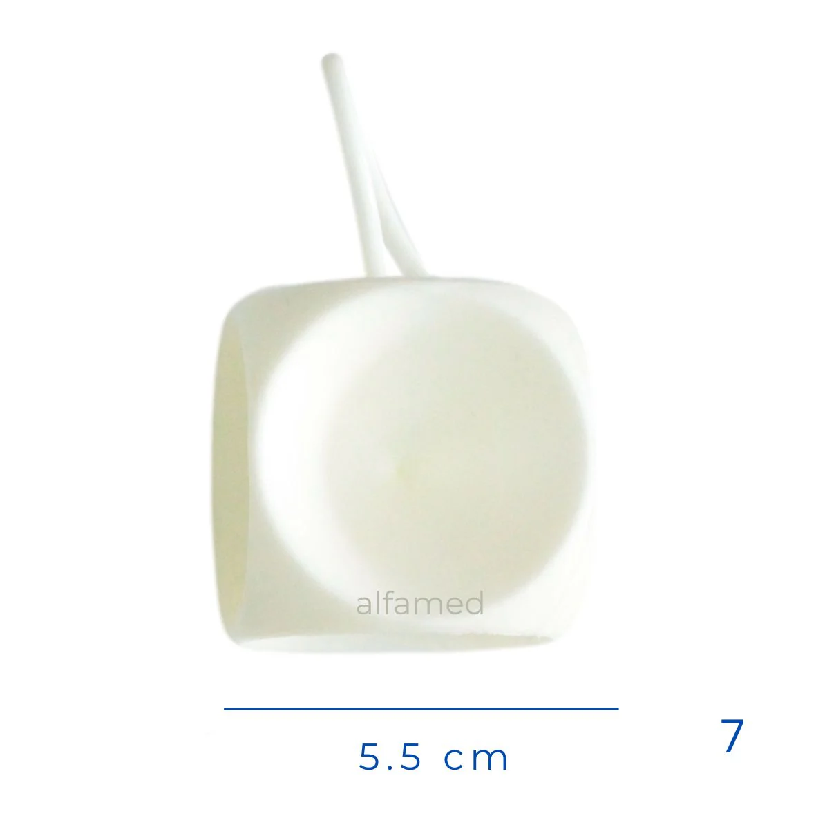 Imagen del producto 10